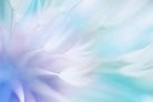 Whisper-Wall_Art-Pixalot