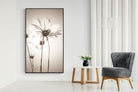 White Cosmos-Wall_Art-130 x 220cm-Mounted Canvas-Black-Pixalot
