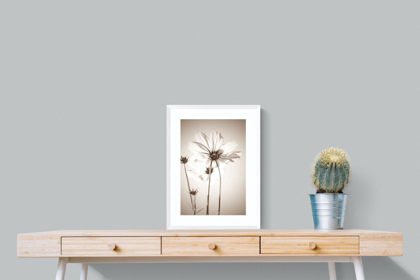 White Cosmos-Wall_Art-45 x 60cm-Framed Print-White-Pixalot