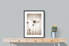 White Cosmos-Wall_Art-60 x 80cm-Framed Print-Black-Pixalot