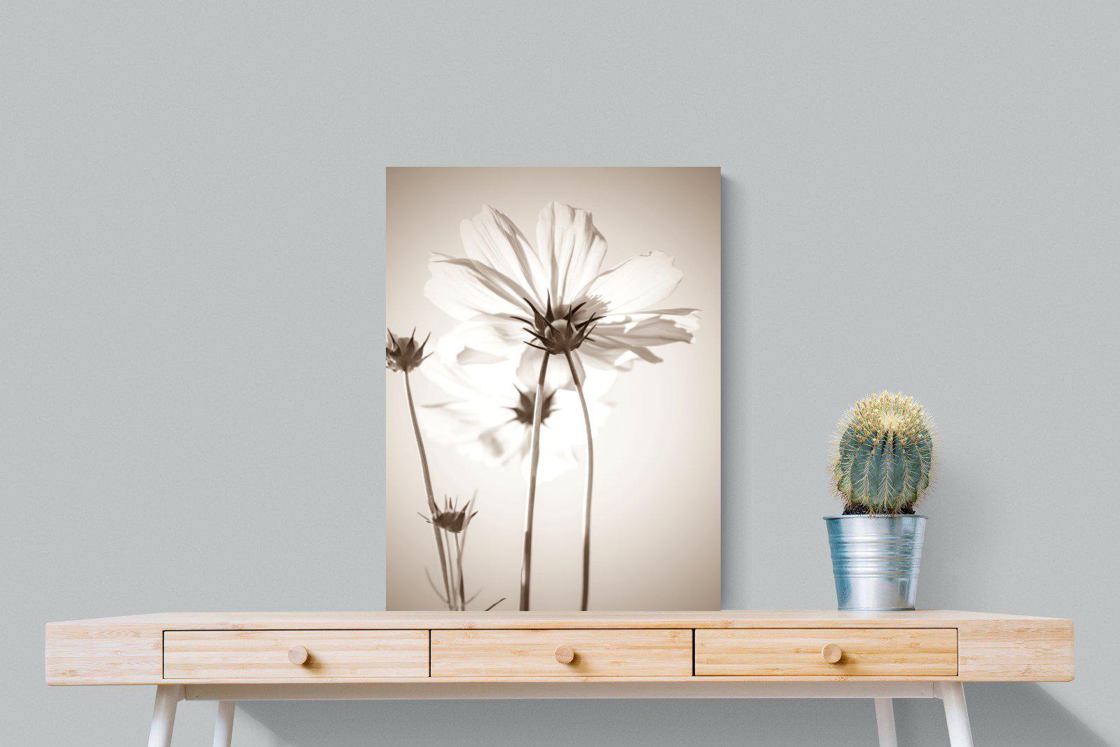 White Cosmos-Wall_Art-60 x 80cm-Mounted Canvas-No Frame-Pixalot