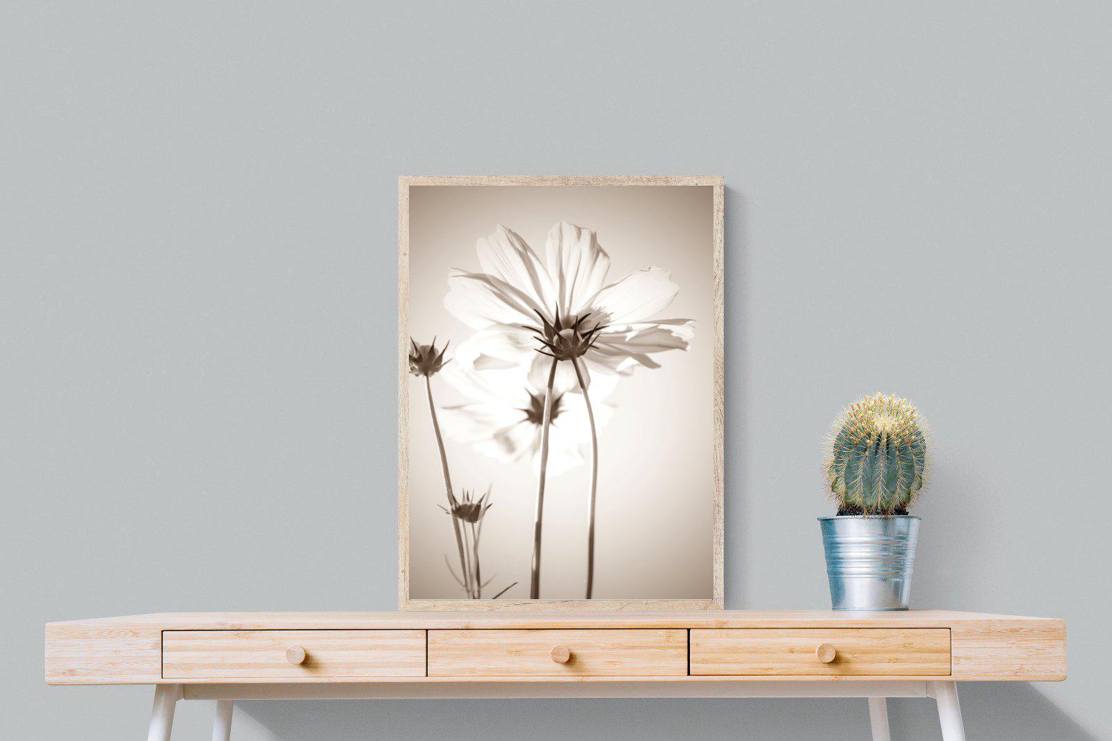 White Cosmos-Wall_Art-60 x 80cm-Mounted Canvas-Wood-Pixalot