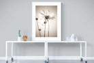 White Cosmos-Wall_Art-90 x 120cm-Framed Print-White-Pixalot