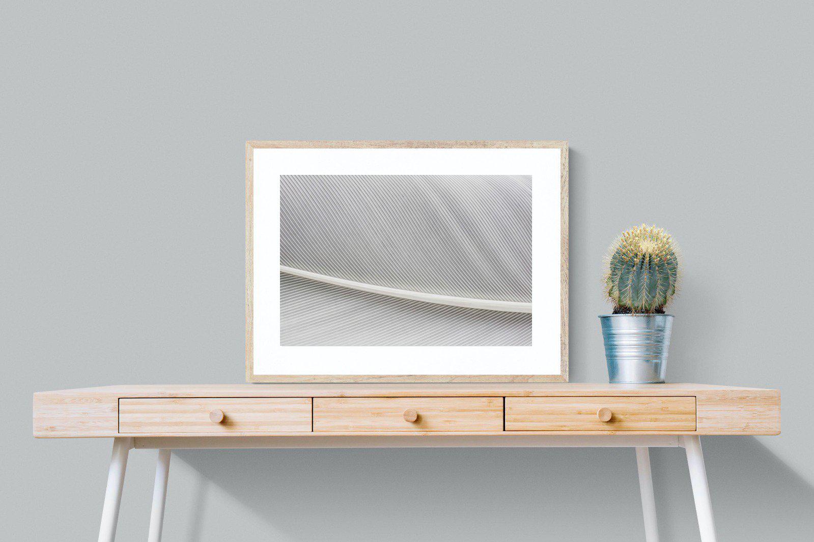 White Feather-Wall_Art-80 x 60cm-Framed Print-Wood-Pixalot