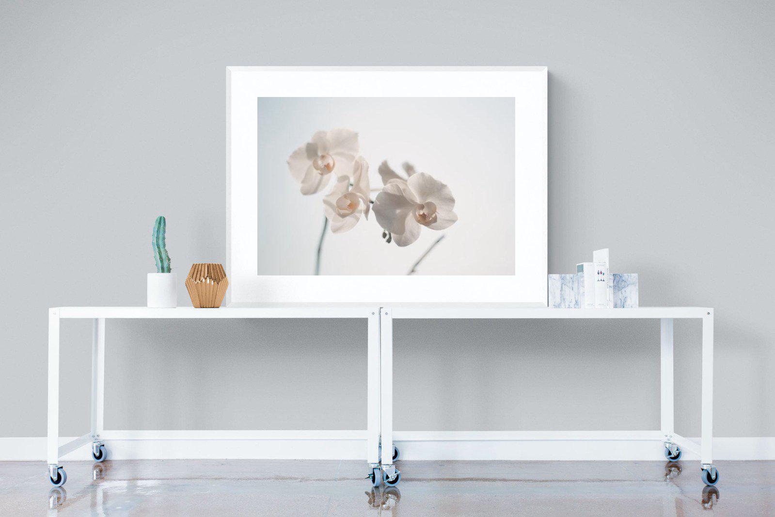 White Moth Orchid-Wall_Art-120 x 90cm-Framed Print-White-Pixalot