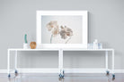 White Moth Orchid-Wall_Art-120 x 90cm-Framed Print-White-Pixalot