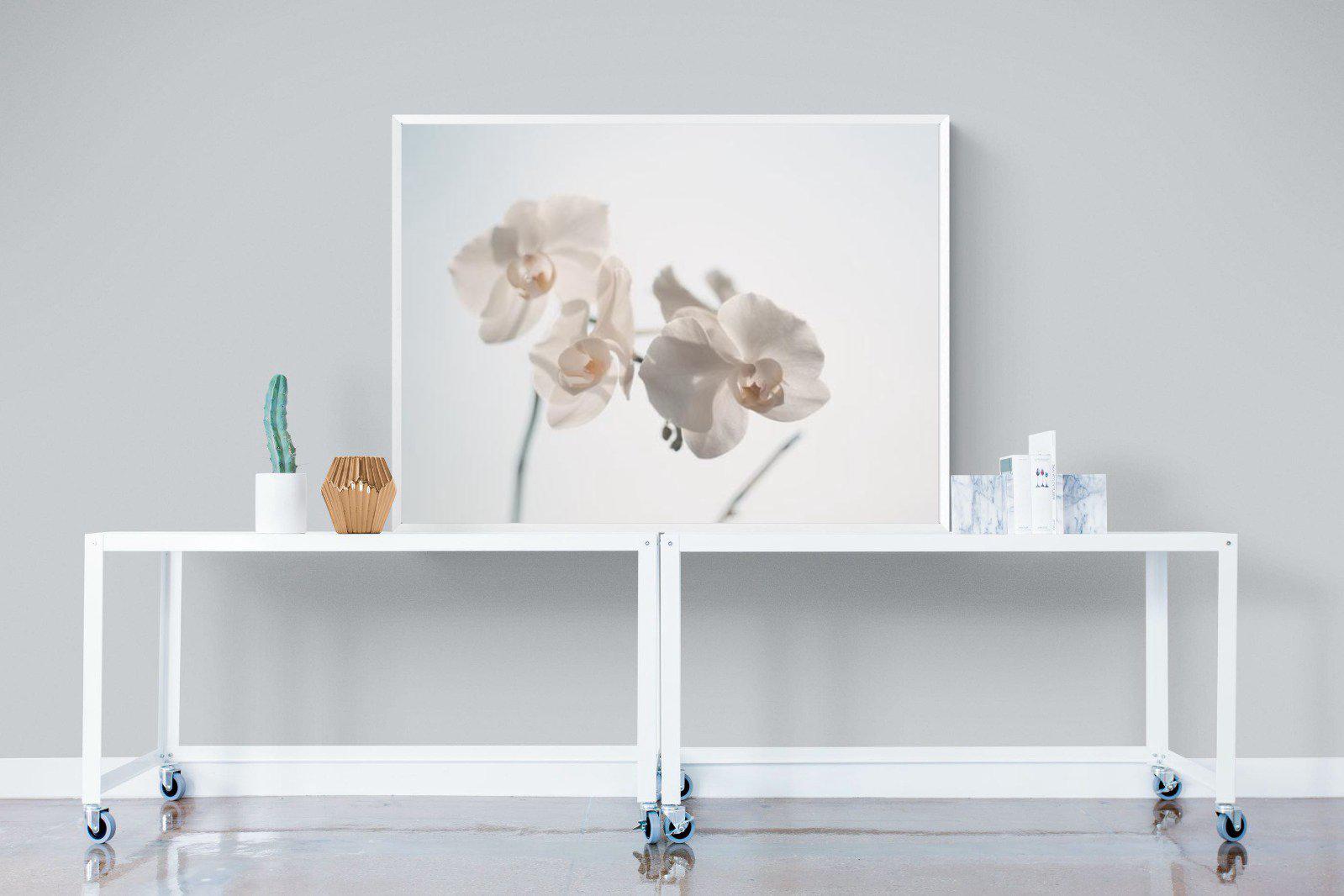 White Moth Orchid-Wall_Art-120 x 90cm-Mounted Canvas-White-Pixalot