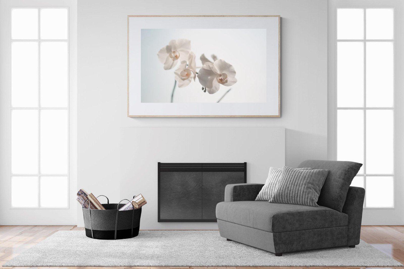 White Moth Orchid-Wall_Art-150 x 100cm-Framed Print-Wood-Pixalot