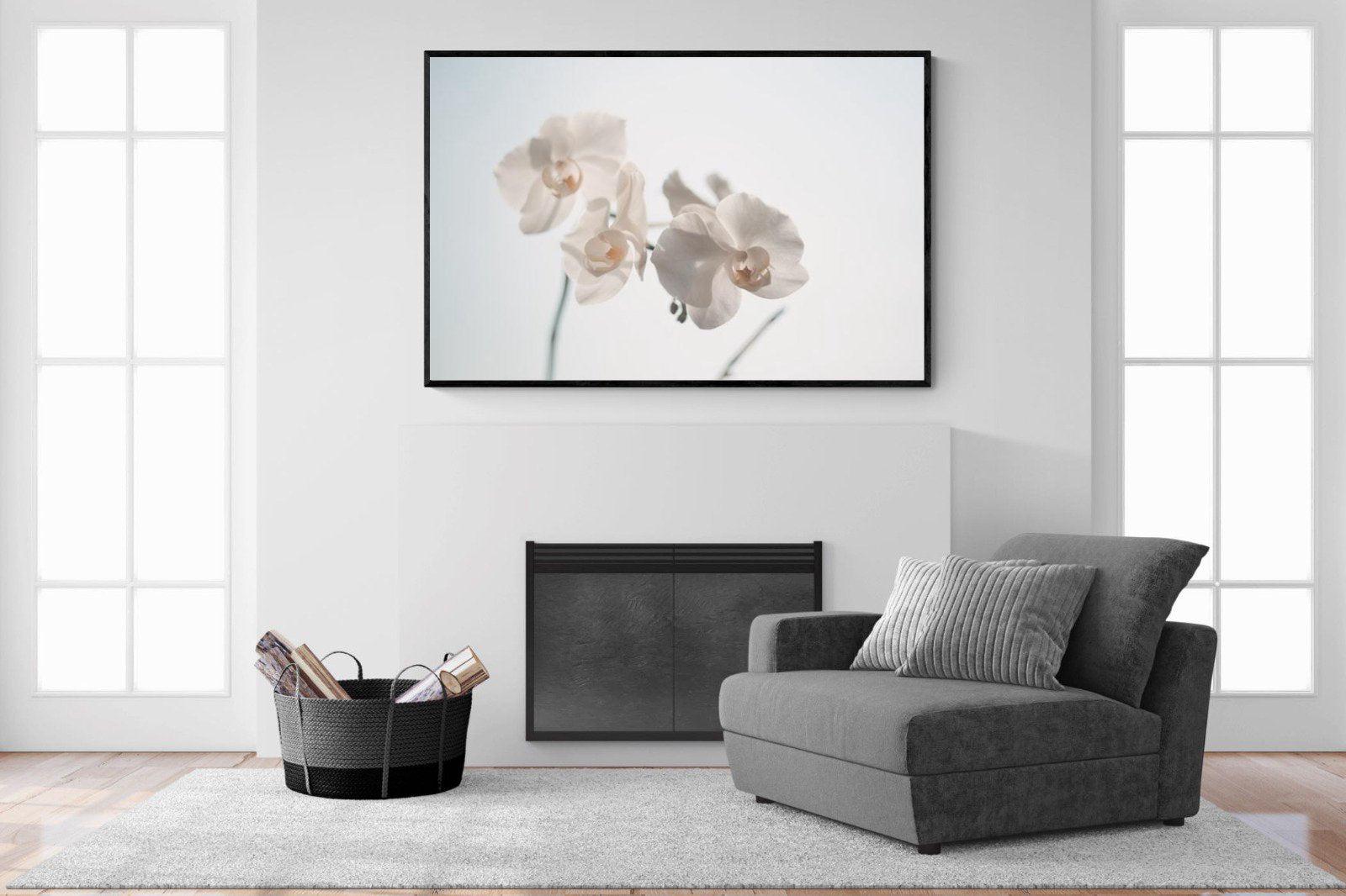 White Moth Orchid-Wall_Art-150 x 100cm-Mounted Canvas-Black-Pixalot
