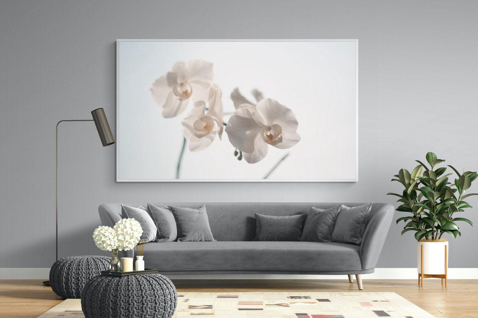White Moth Orchid-Wall_Art-220 x 130cm-Mounted Canvas-White-Pixalot
