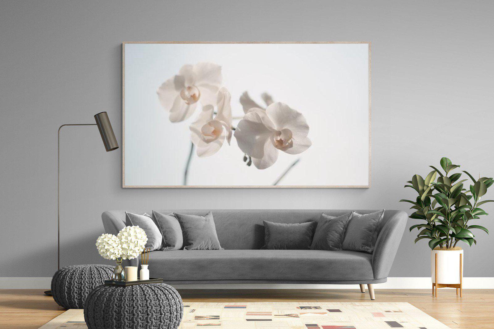 White Moth Orchid-Wall_Art-220 x 130cm-Mounted Canvas-Wood-Pixalot