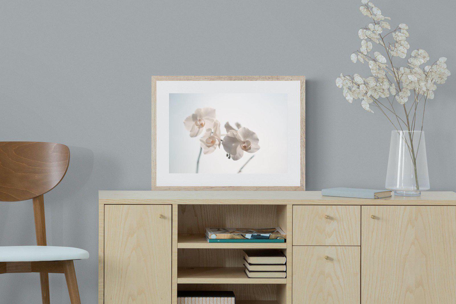 White Moth Orchid-Wall_Art-60 x 45cm-Framed Print-Wood-Pixalot