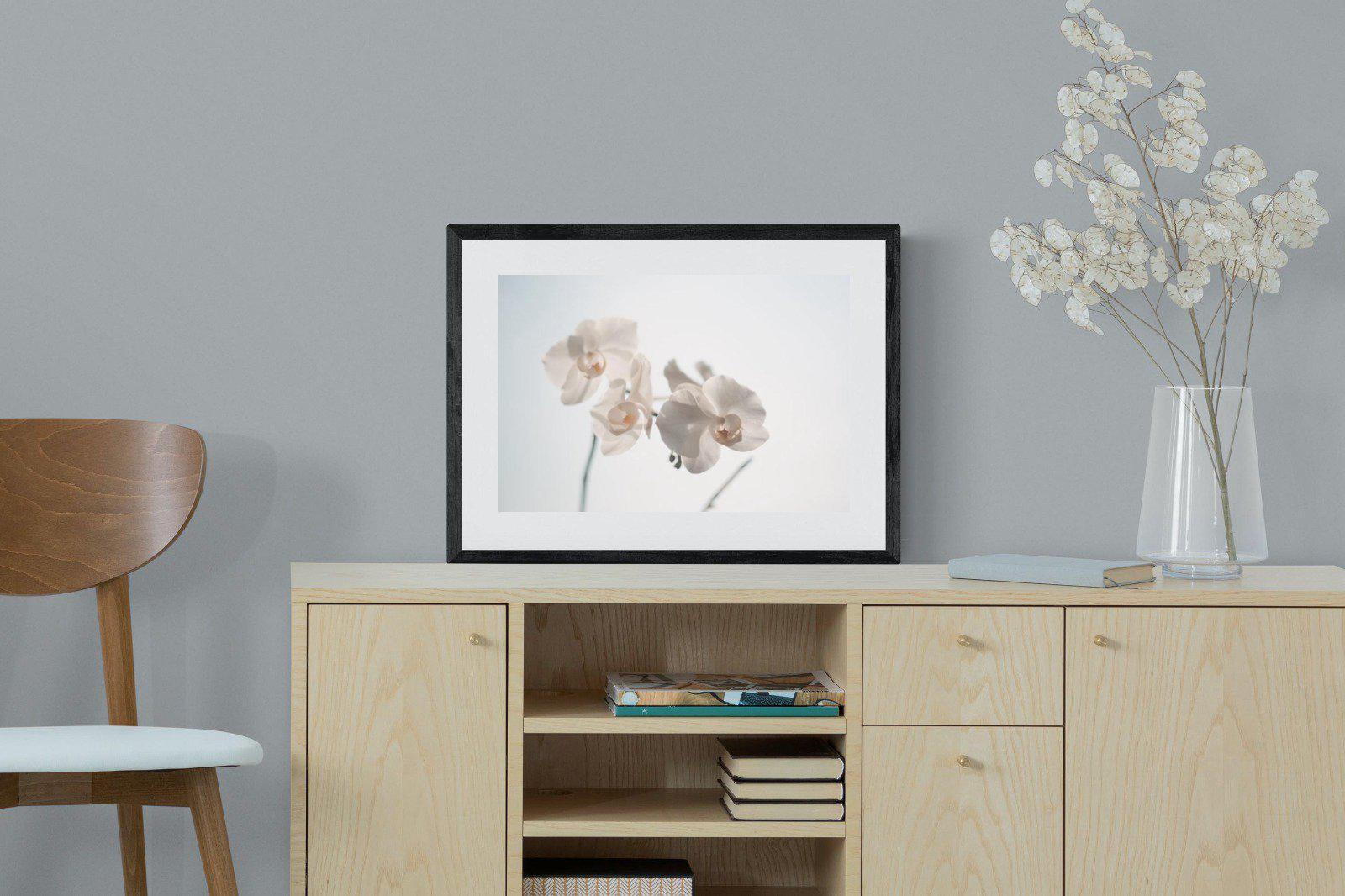 White Moth Orchid-Wall_Art-60 x 45cm-Framed Print-Black-Pixalot