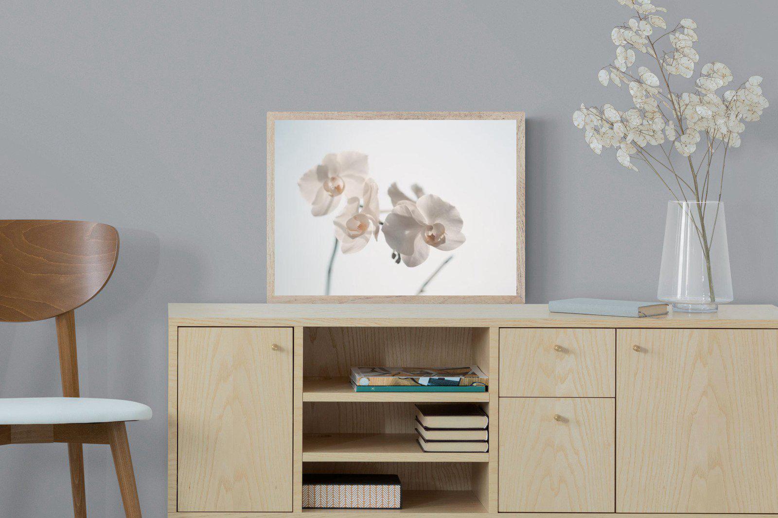 White Moth Orchid-Wall_Art-60 x 45cm-Mounted Canvas-Wood-Pixalot