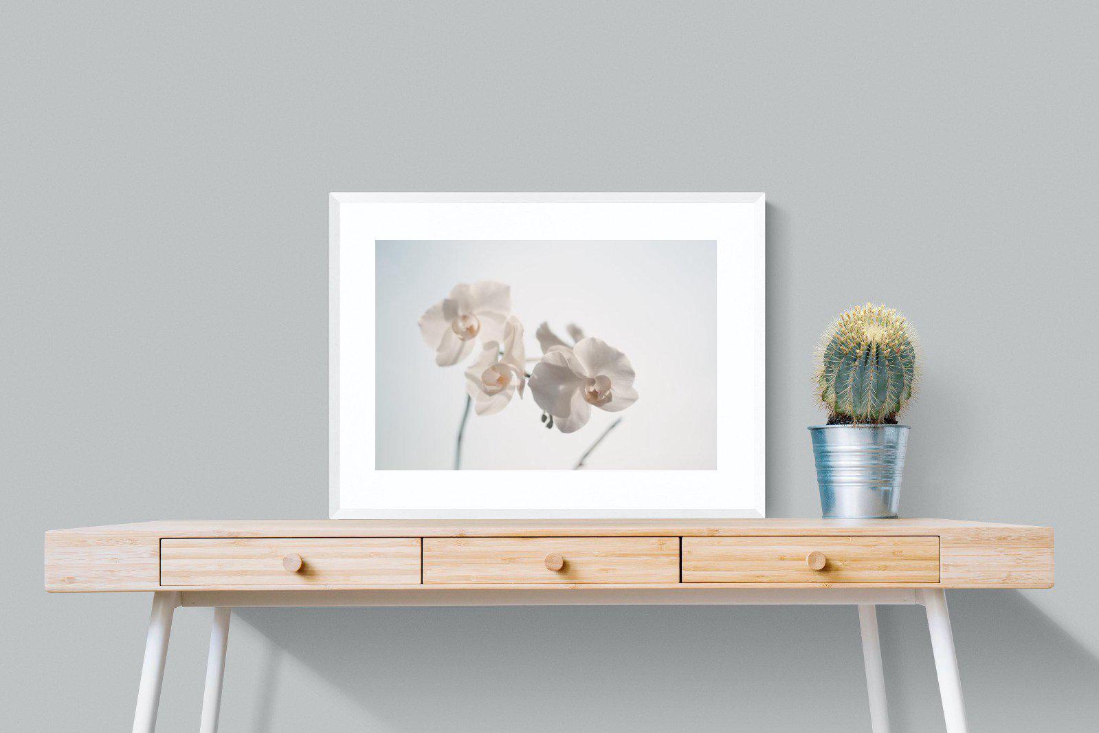 White Moth Orchid-Wall_Art-80 x 60cm-Framed Print-White-Pixalot
