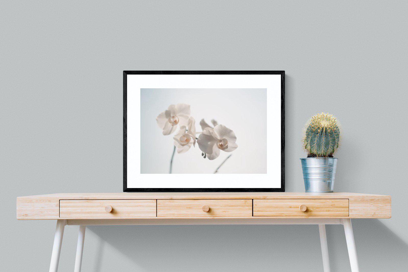 White Moth Orchid-Wall_Art-80 x 60cm-Framed Print-Black-Pixalot