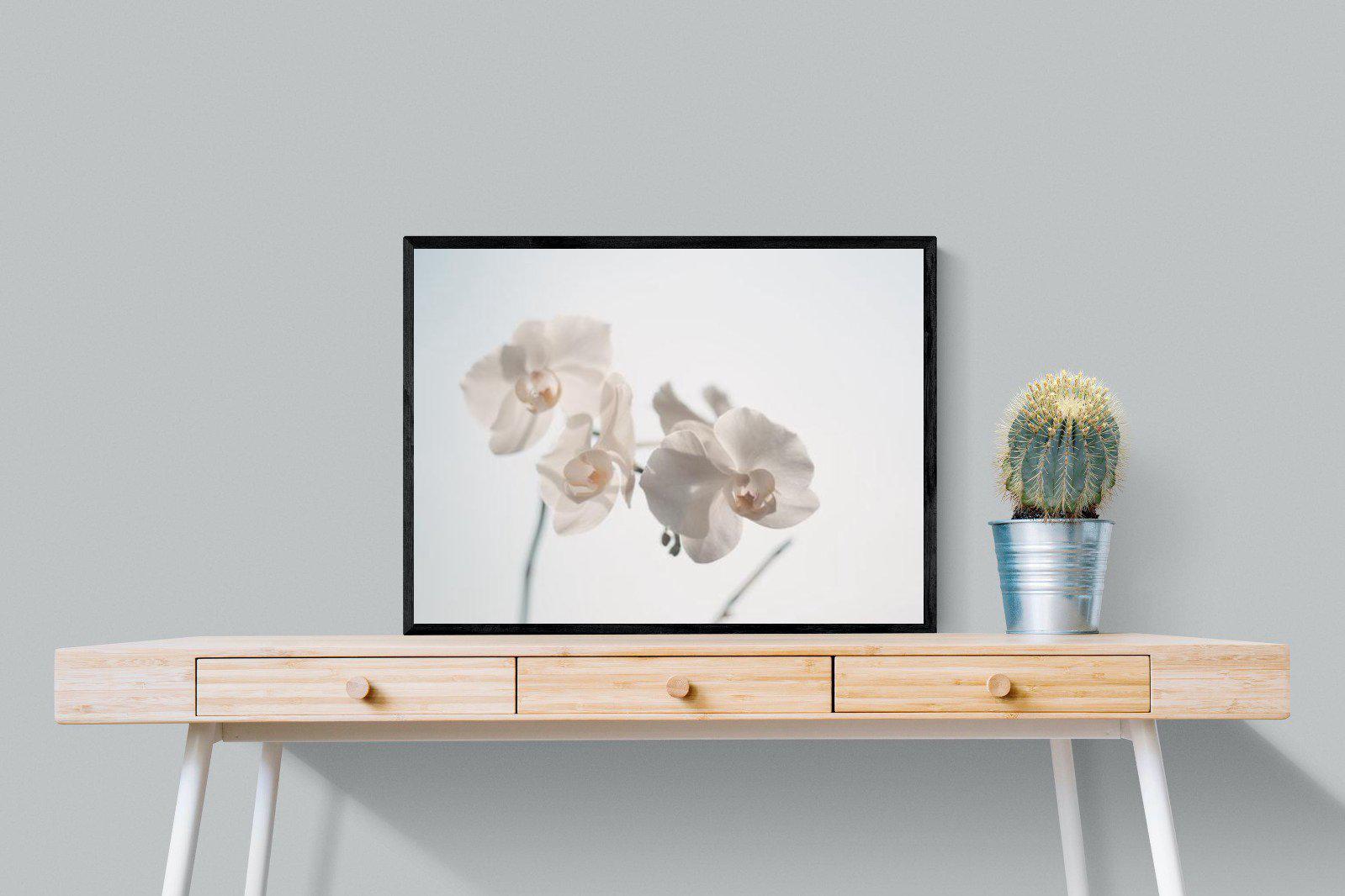 White Moth Orchid-Wall_Art-80 x 60cm-Mounted Canvas-Black-Pixalot