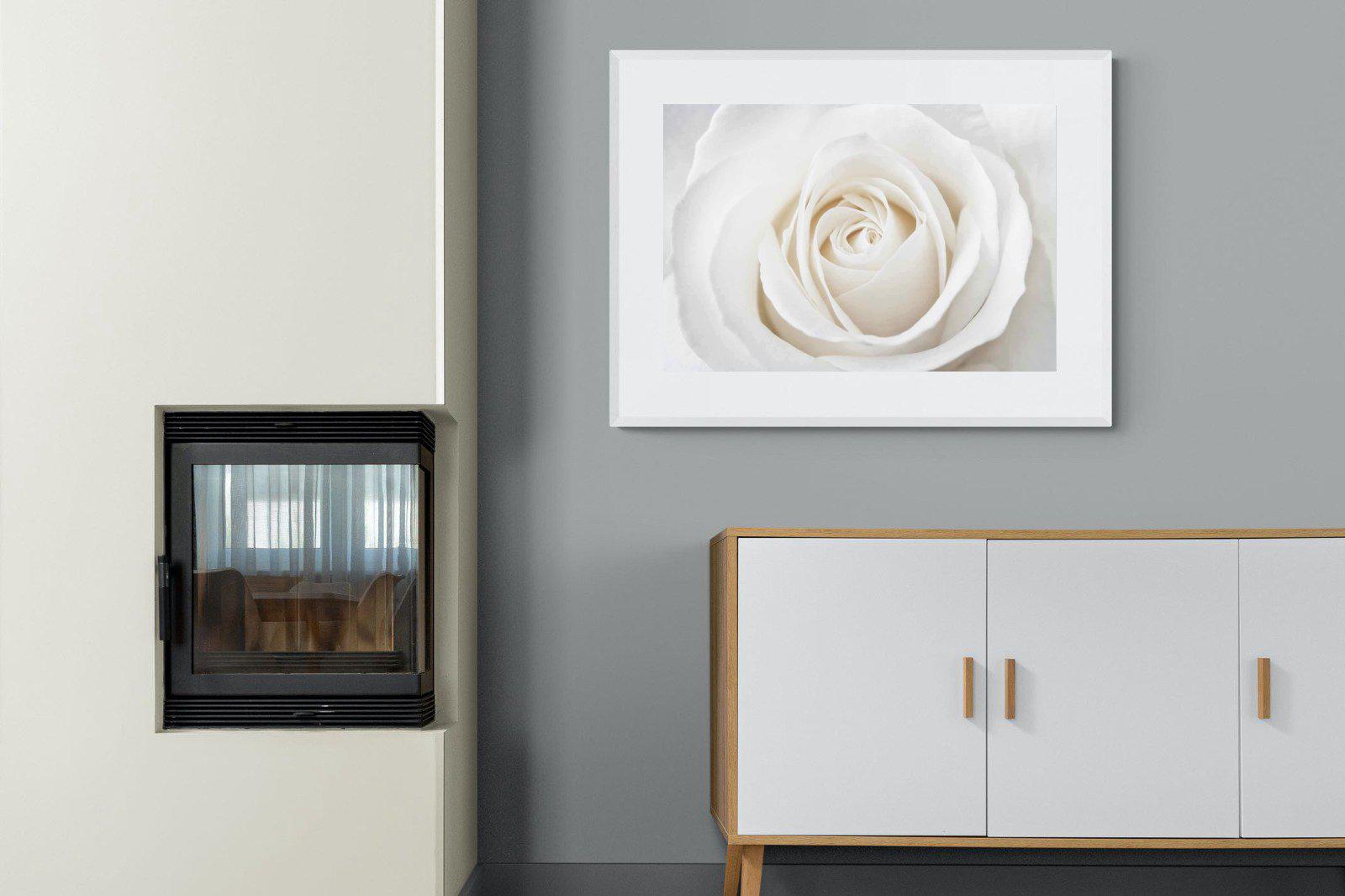 White Rose-Wall_Art-100 x 75cm-Framed Print-White-Pixalot