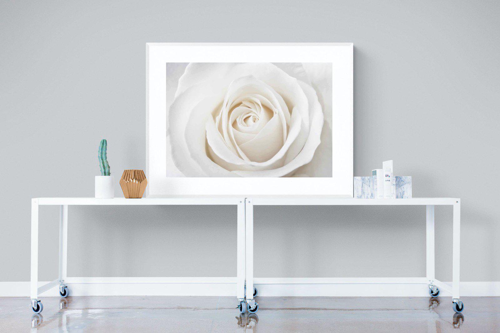 White Rose-Wall_Art-120 x 90cm-Framed Print-White-Pixalot