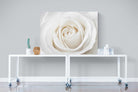 White Rose-Wall_Art-120 x 90cm-Mounted Canvas-No Frame-Pixalot