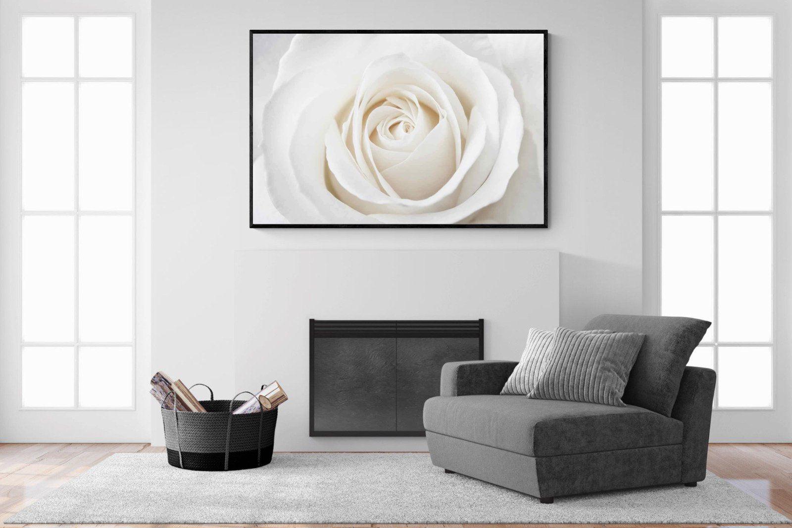 White Rose-Wall_Art-150 x 100cm-Mounted Canvas-Black-Pixalot