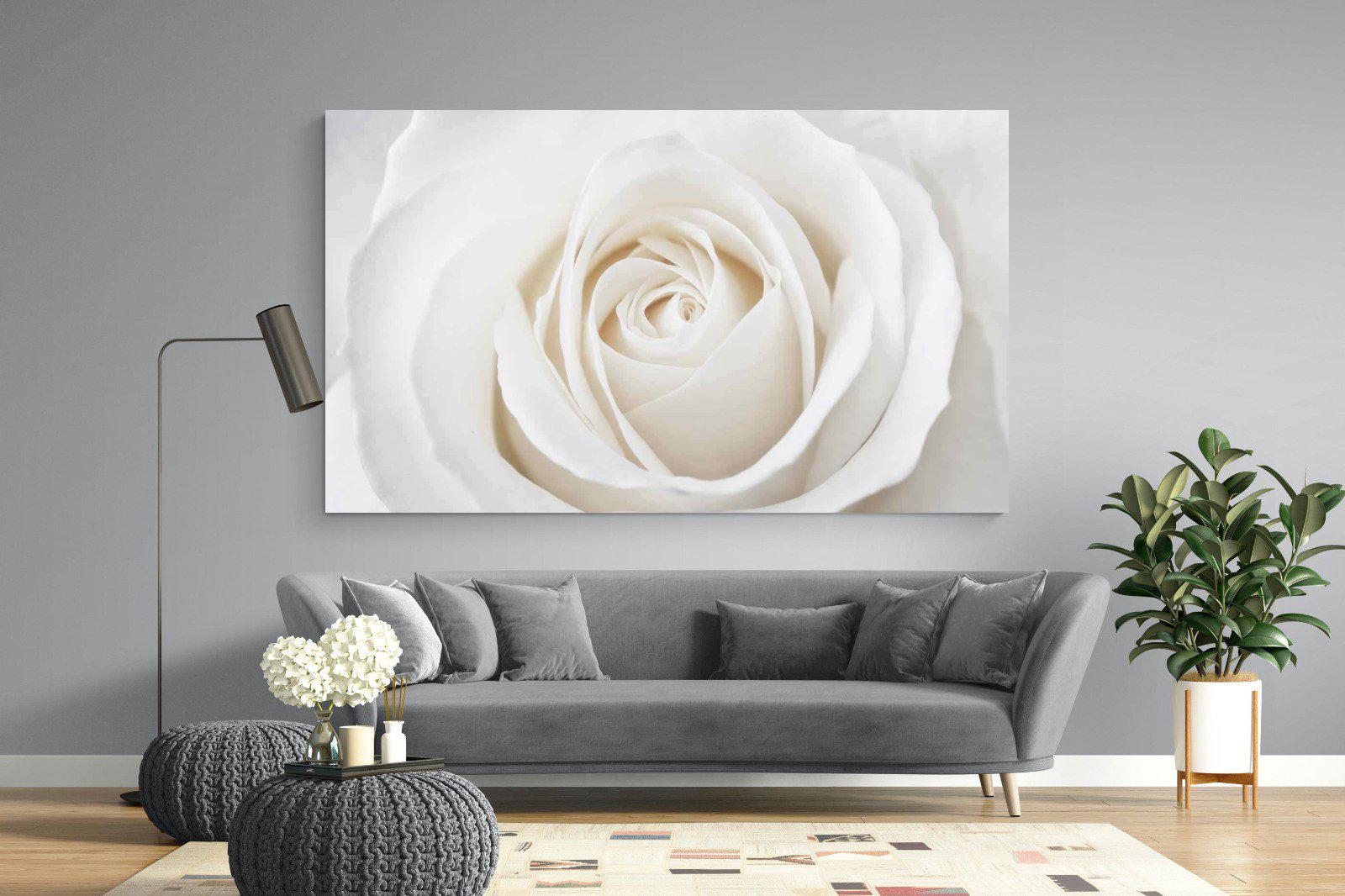 White Rose-Wall_Art-220 x 130cm-Mounted Canvas-No Frame-Pixalot