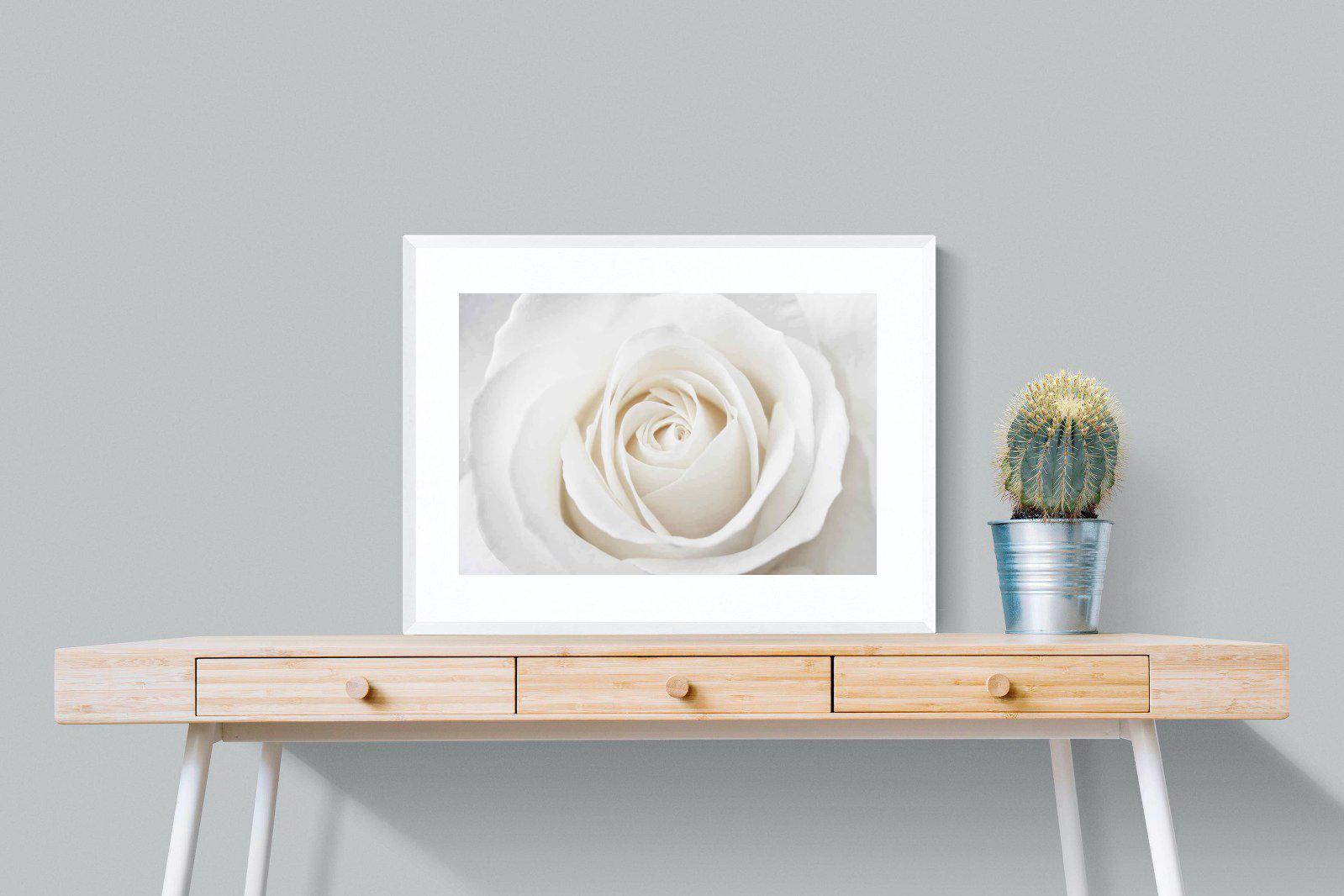 White Rose-Wall_Art-80 x 60cm-Framed Print-White-Pixalot