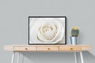 White Rose-Wall_Art-80 x 60cm-Mounted Canvas-Black-Pixalot