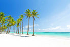 White Sand-Wall_Art-Pixalot