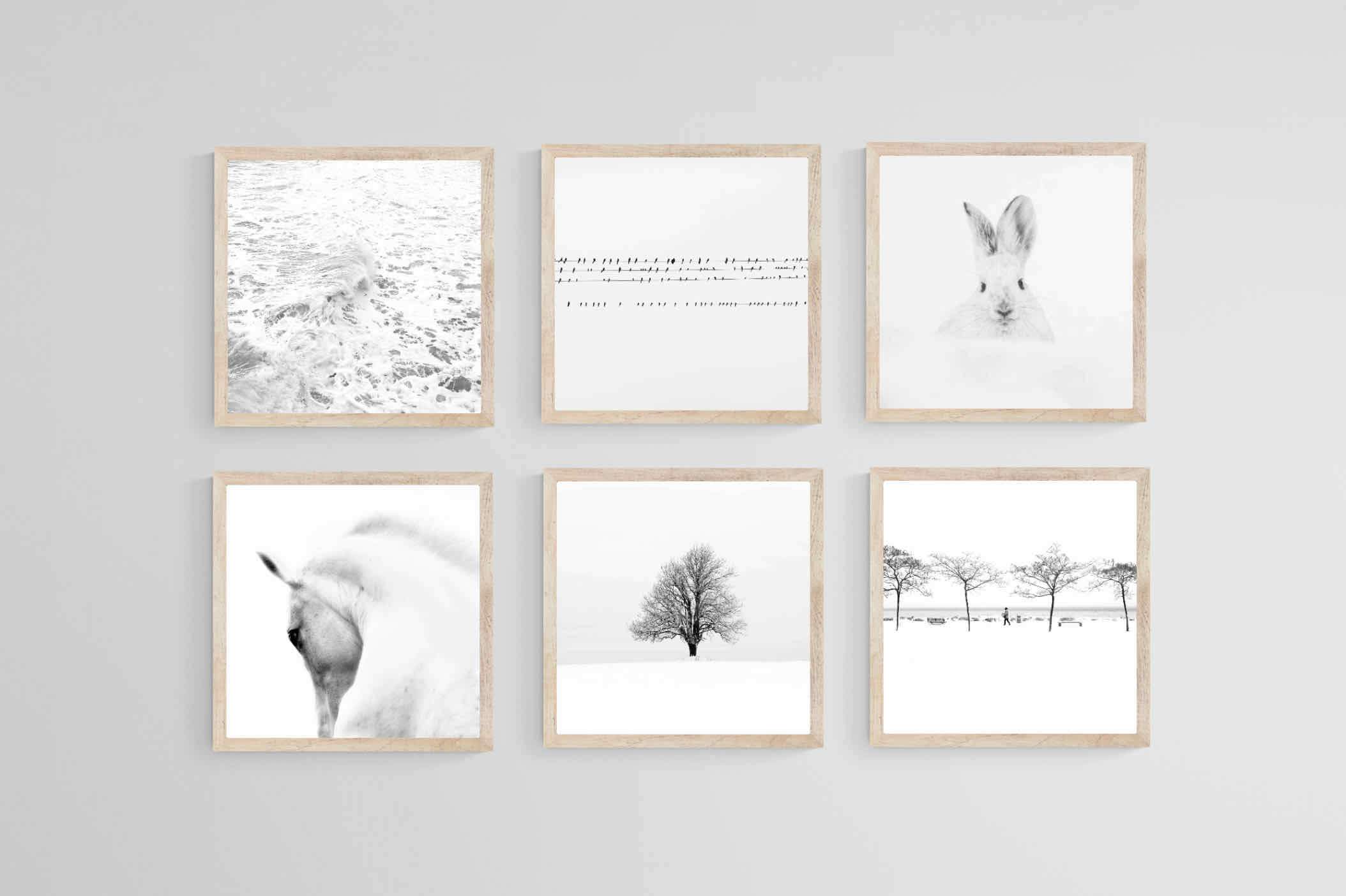 White Set-Wall_Art-40 x 40cm (x6)-Mounted Canvas-Wood-Pixalot