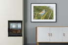 Winged Wonder-Wall_Art-100 x 75cm-Framed Print-Black-Pixalot