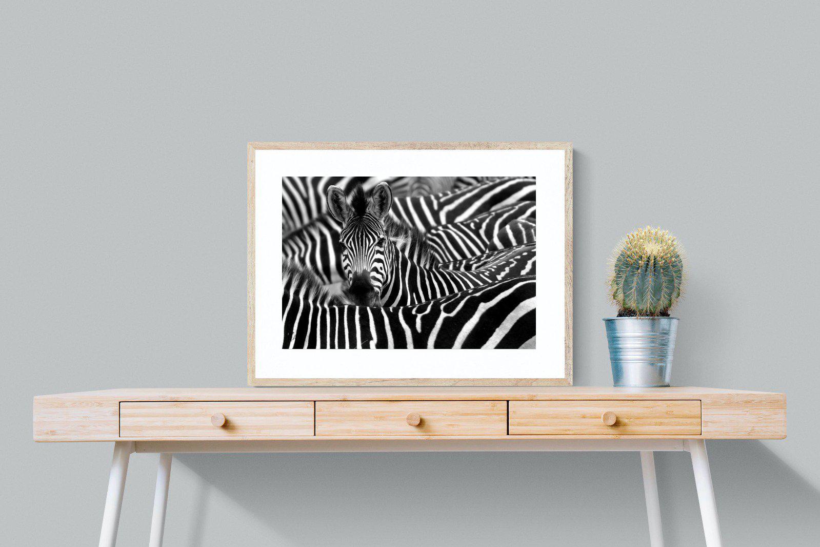 Zebra Look-Wall_Art-80 x 60cm-Framed Print-Wood-Pixalot