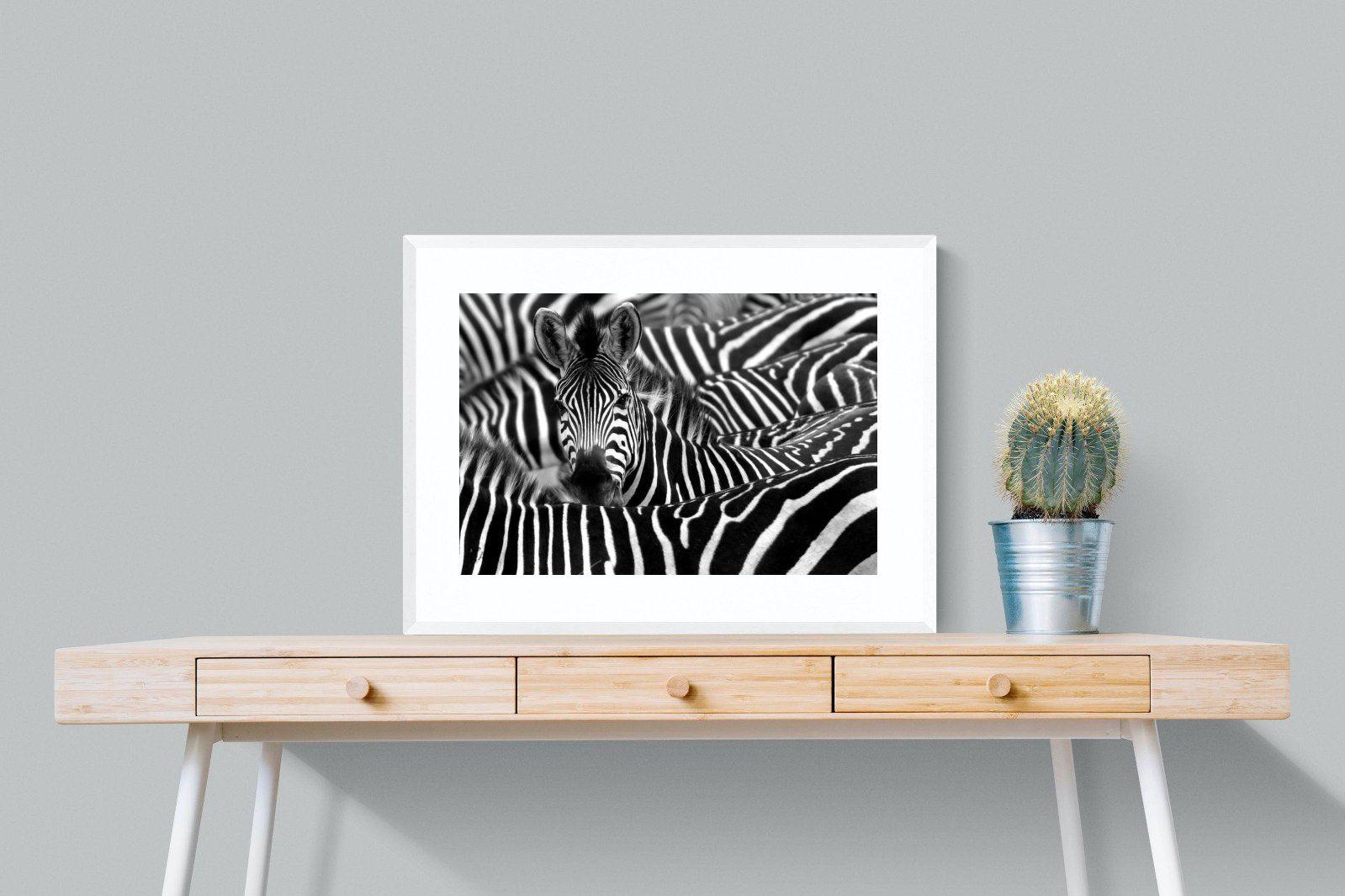 Zebra Look-Wall_Art-80 x 60cm-Framed Print-White-Pixalot