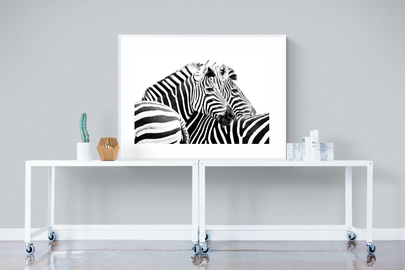 Zebra Pair-Wall_Art-120 x 90cm-Framed Print-White-Pixalot
