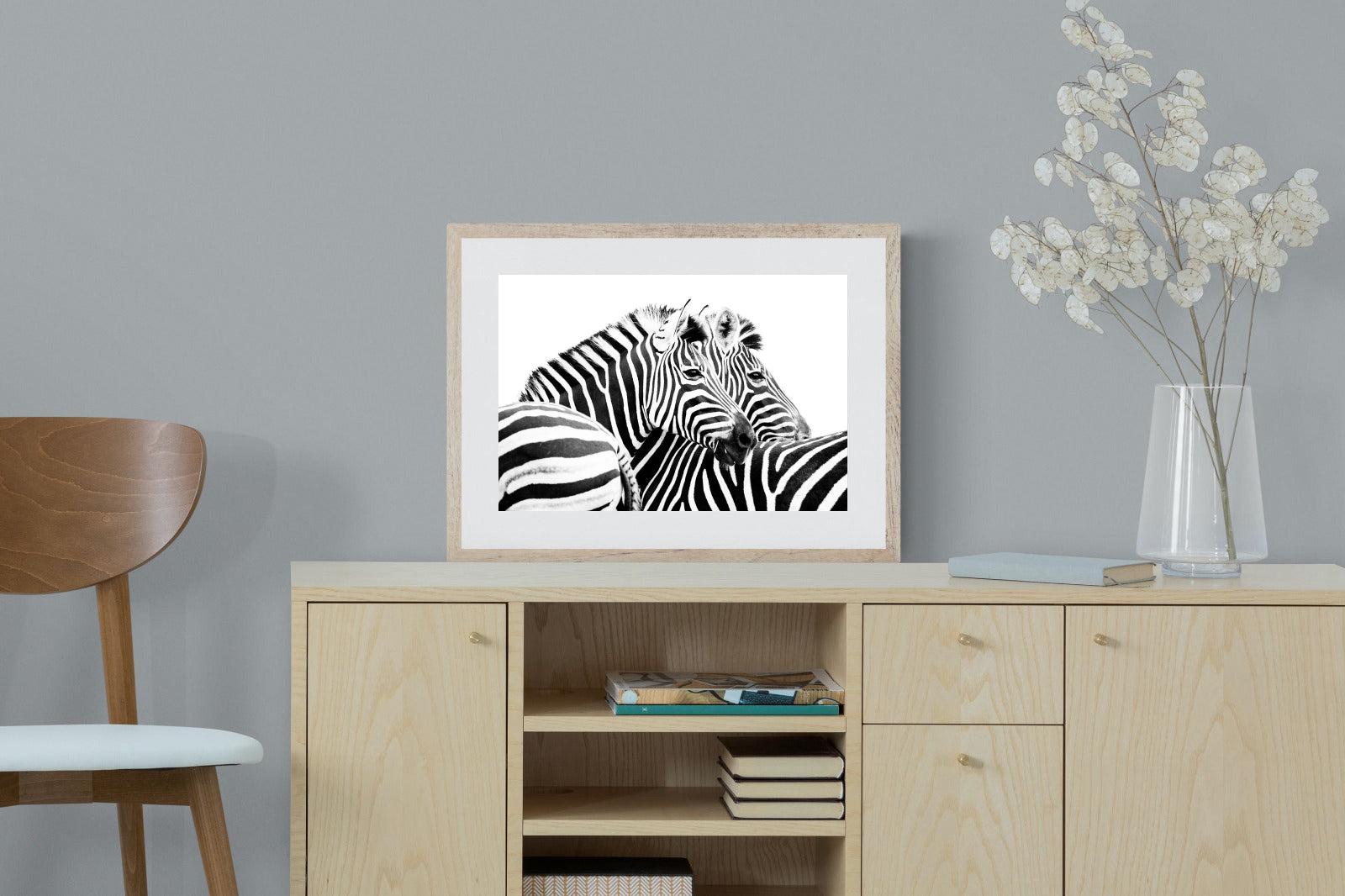 Zebra Pair-Wall_Art-60 x 45cm-Framed Print-Wood-Pixalot