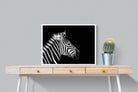Zebra-Wall_Art-80 x 60cm-Mounted Canvas-White-Pixalot