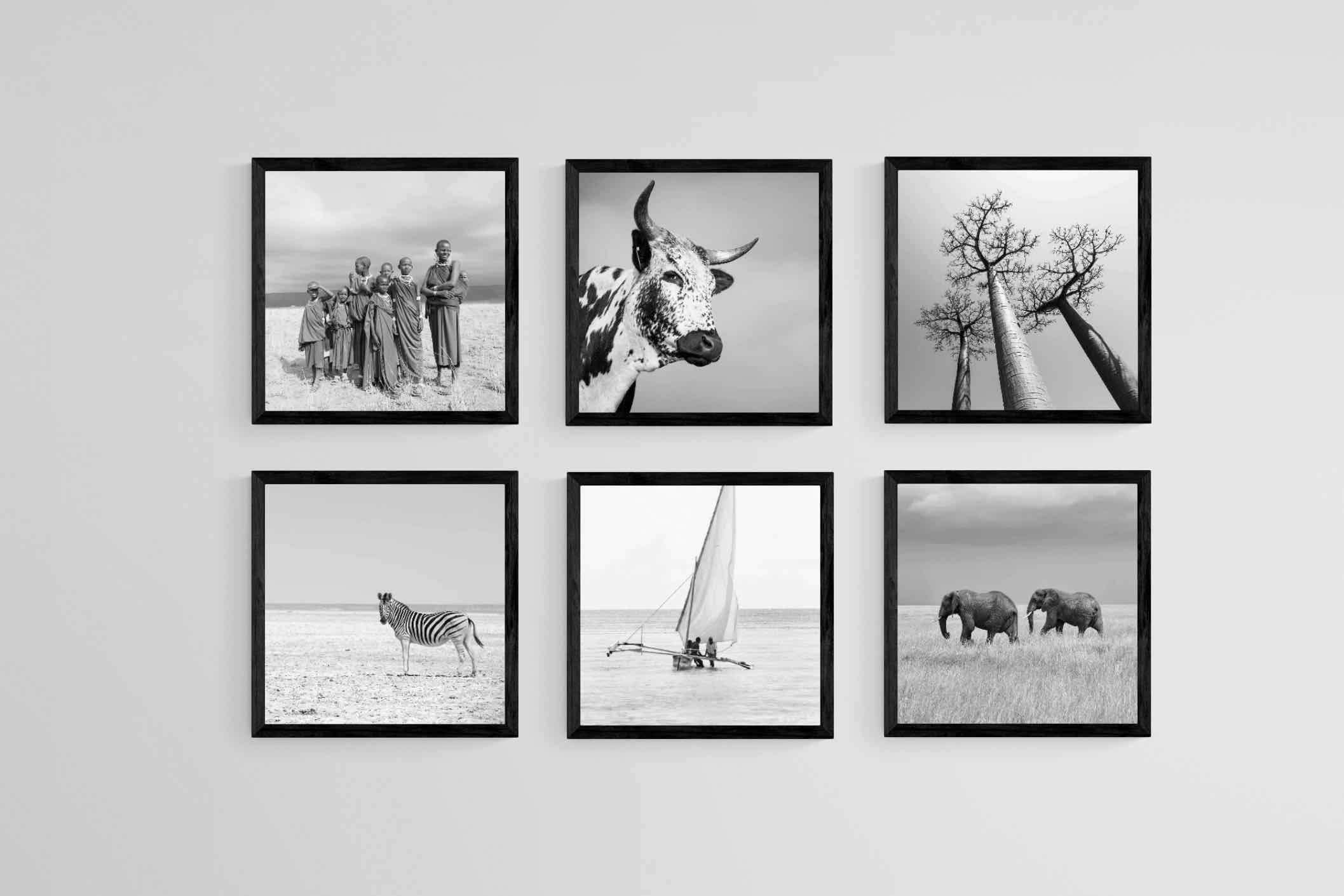 Africa Set-Wall_Art-30 x 30cm (x6)-Mounted Canvas-Black-Pixalot