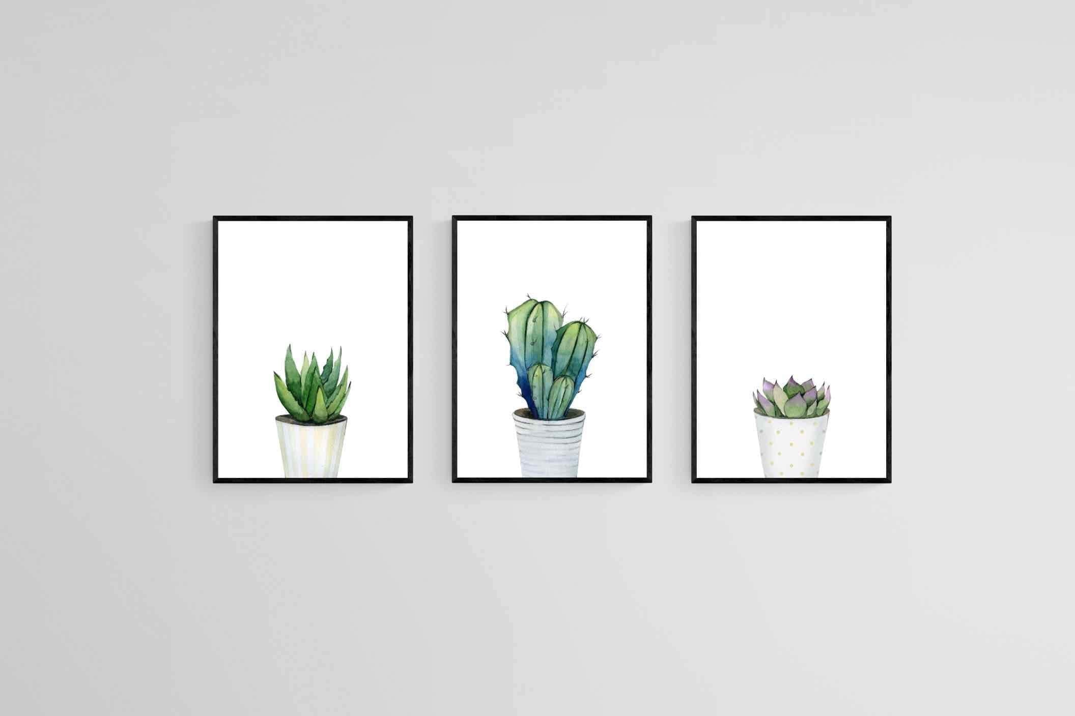 Aloe Set-Wall_Art-60 x 80cm (x3)-Framed Print-Black-Pixalot