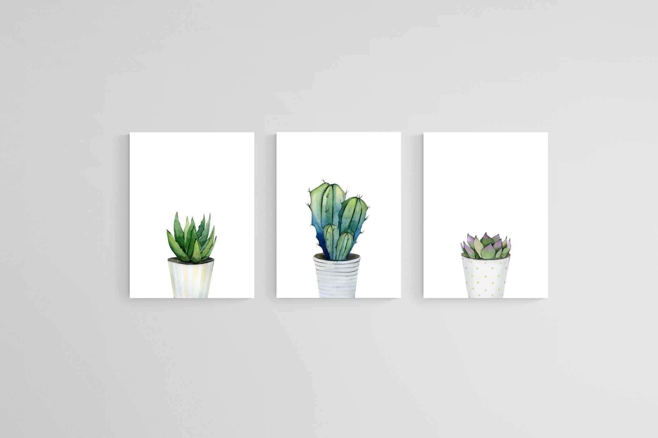 Aloe Set-Wall_Art-60 x 80cm (x3)-Mounted Canvas-No Frame-Pixalot