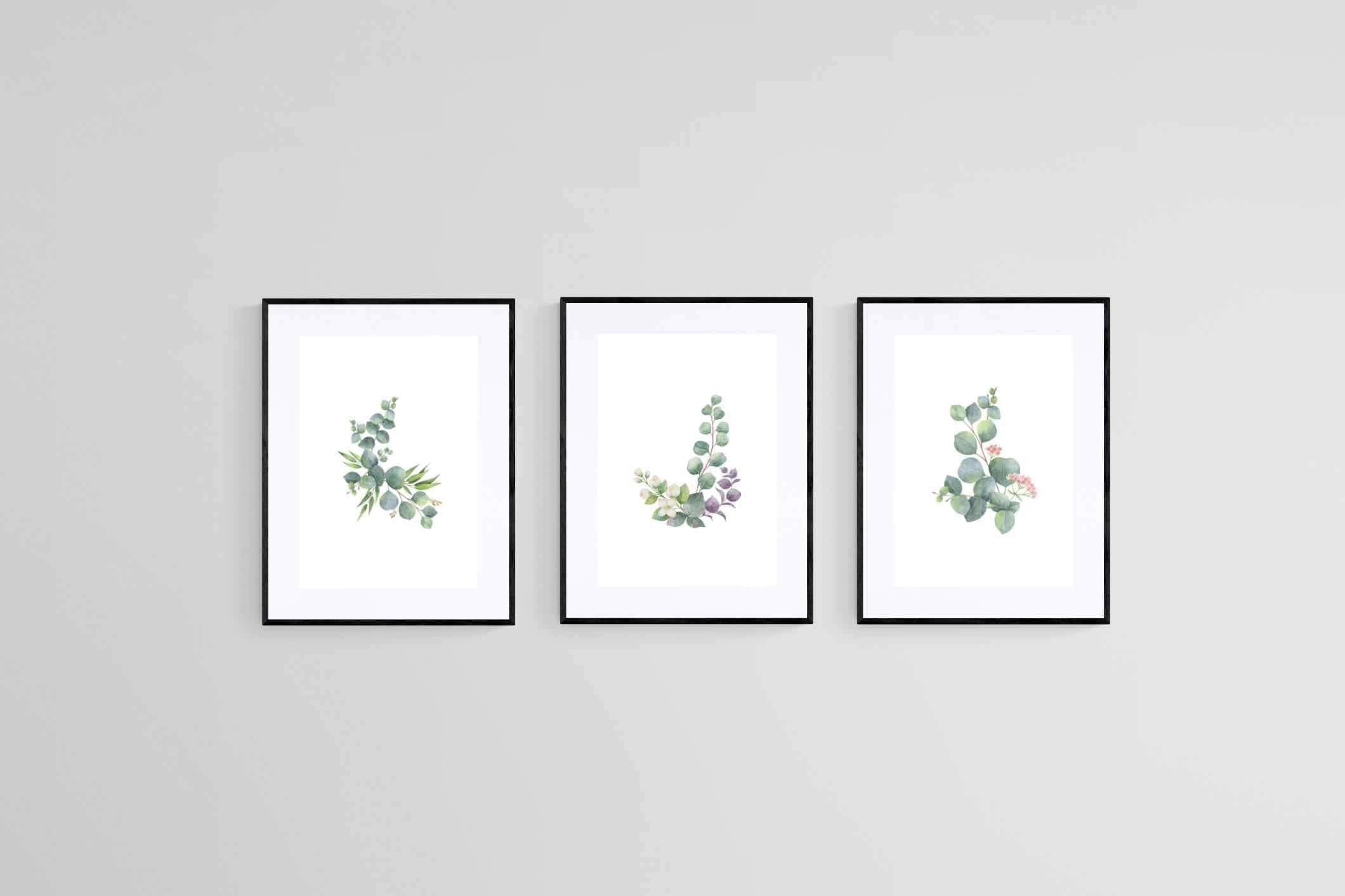 Botanical Set-Wall_Art-60 x 80cm (x3)-Framed Print-Black-Pixalot