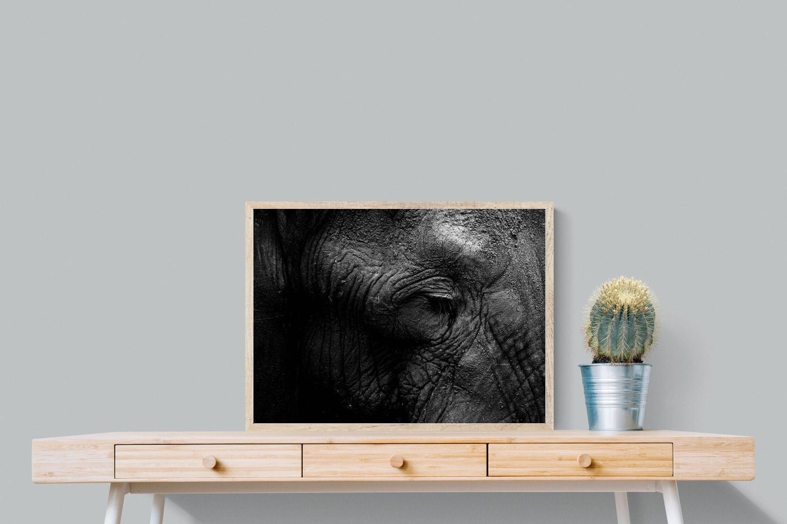 Elephant Skin-Wall_Art-80 x 60cm-Mounted Canvas-Wood-Pixalot