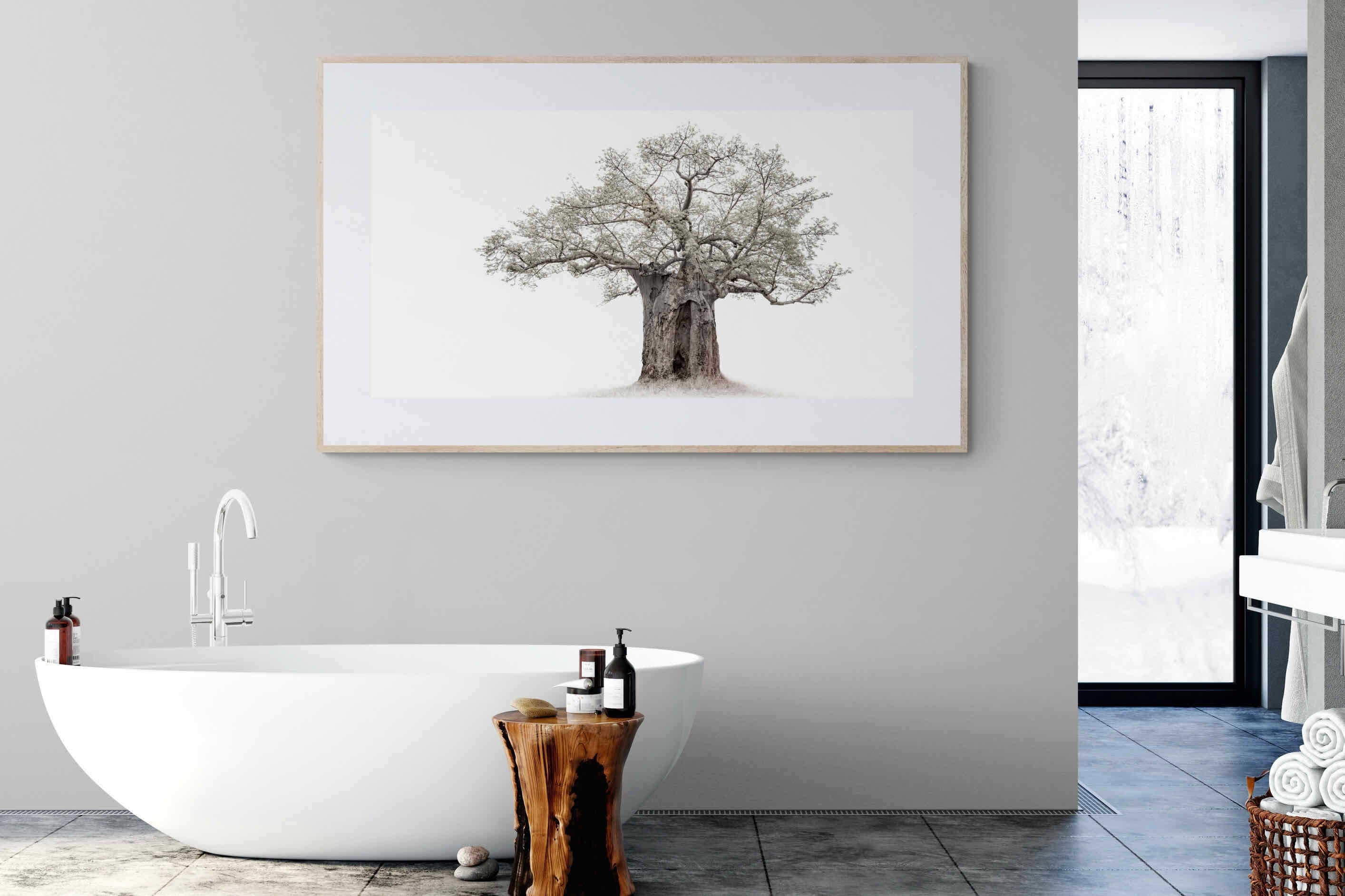 High Key Baobab-Wall_Art-180 x 110cm-Framed Print-Wood-Pixalot