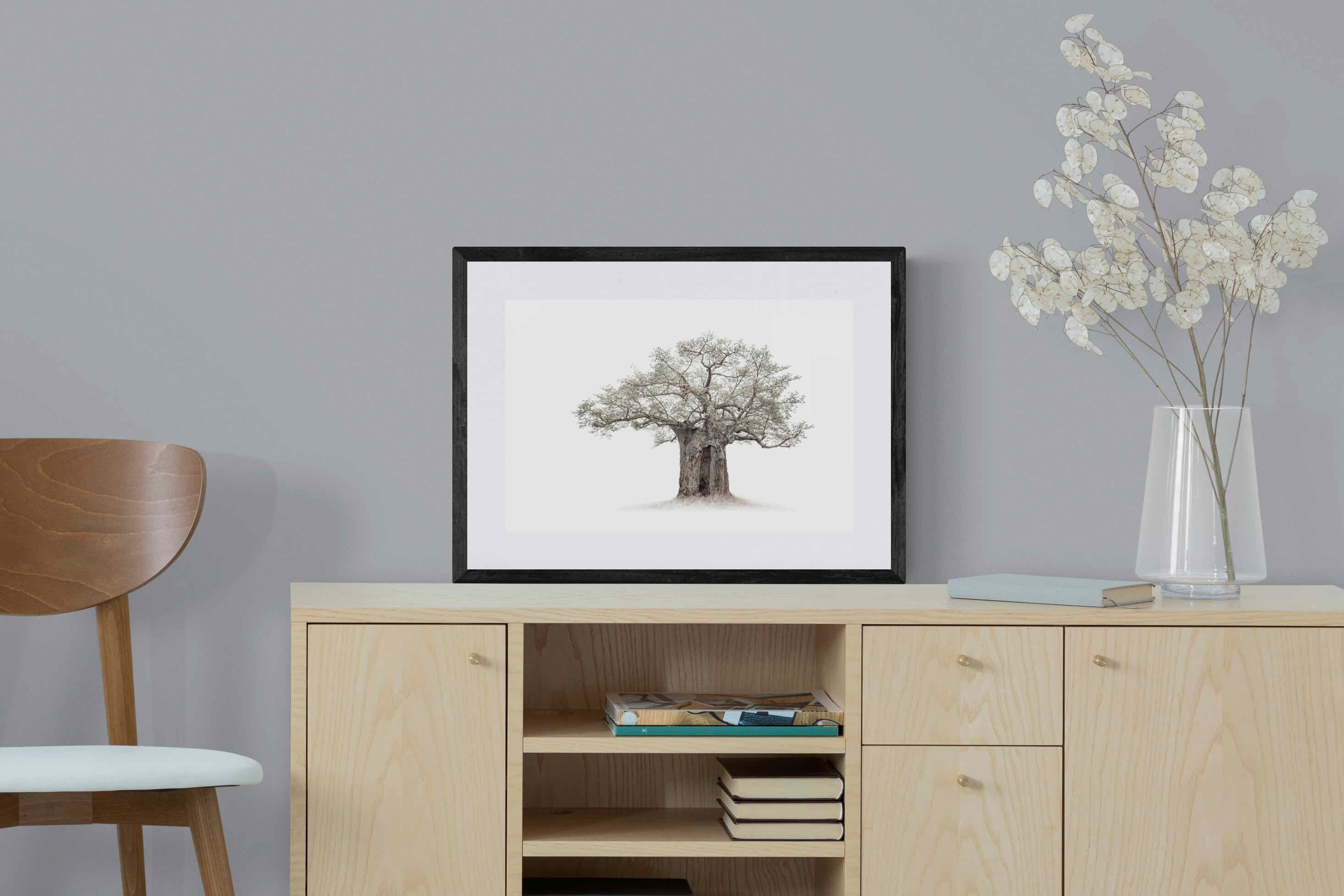 High Key Baobab-Wall_Art-60 x 45cm-Framed Print-Black-Pixalot