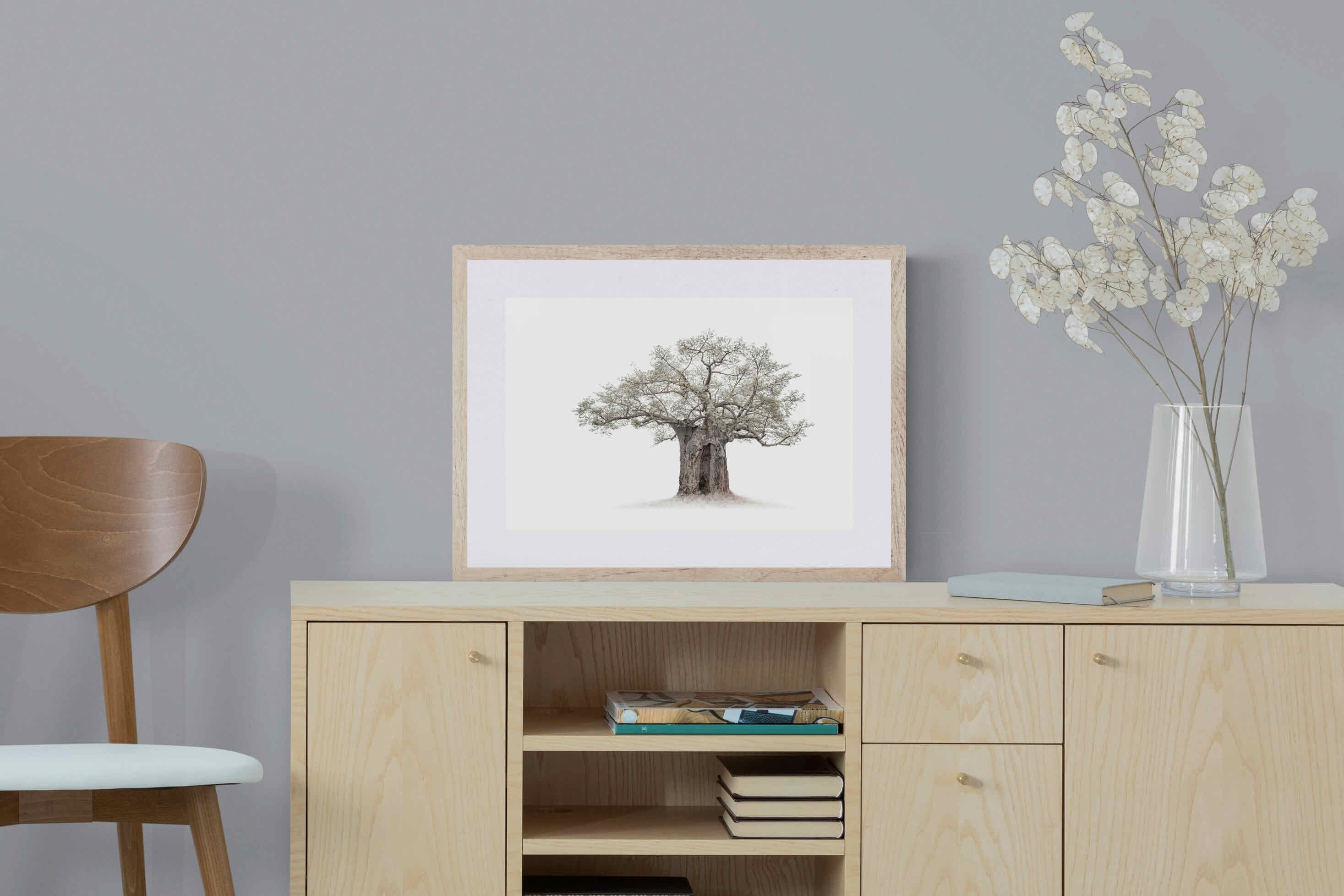 High Key Baobab-Wall_Art-60 x 45cm-Framed Print-Wood-Pixalot