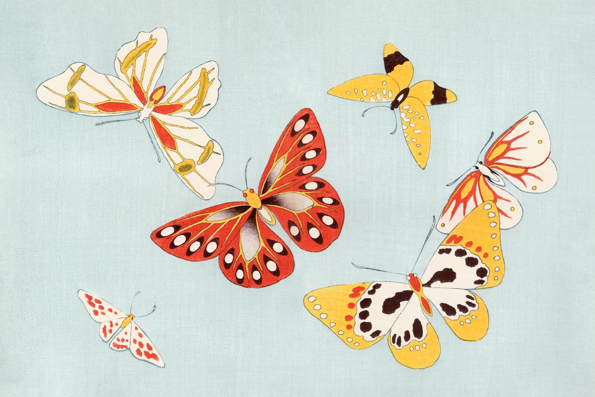 Japanese Butterfly-Wall_Art-Pixalot