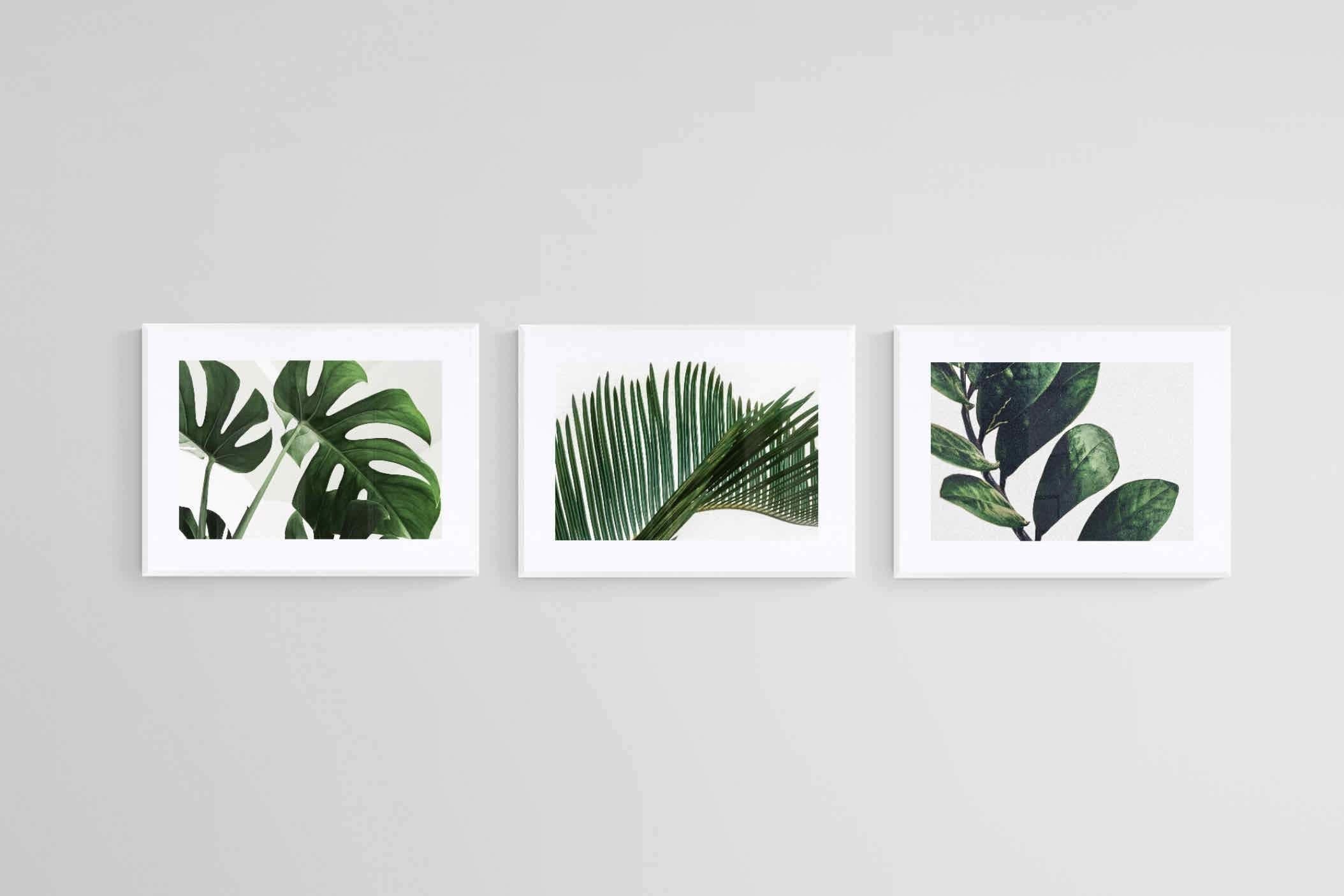Leafy Trio-Wall_Art-60 x 45cm (x3)-Framed Print-White-Pixalot