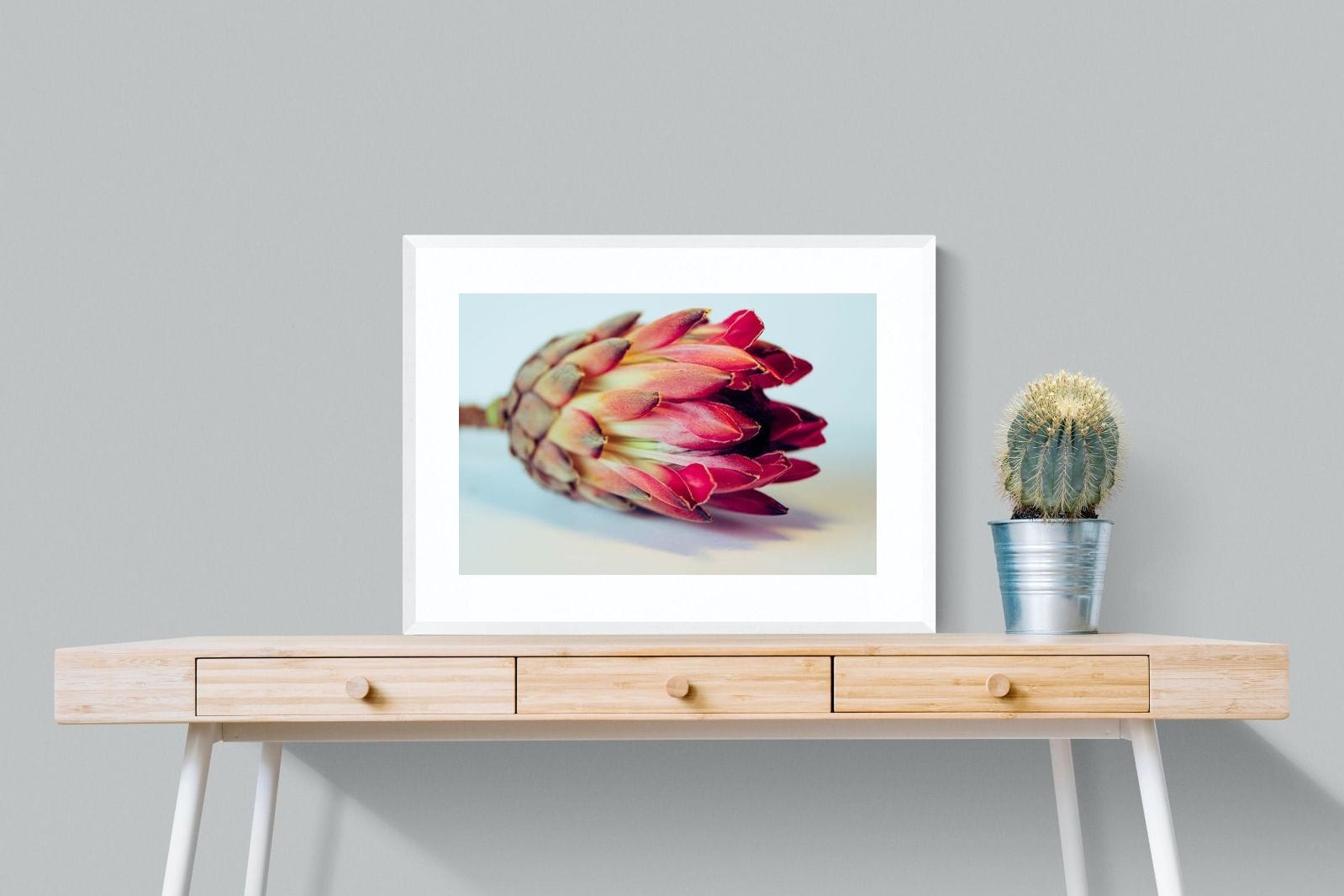 Protea Still Life-Wall_Art-80 x 60cm-Framed Print-White-Pixalot