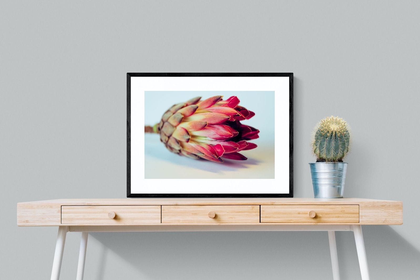 Protea Still Life-Wall_Art-80 x 60cm-Framed Print-Black-Pixalot