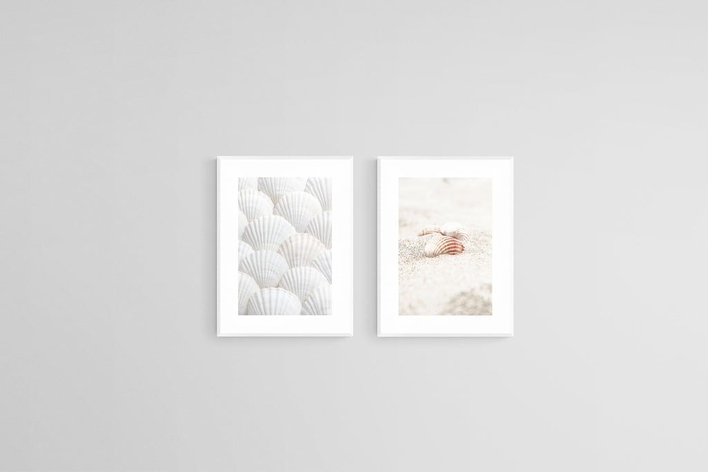 Seashell Set-Wall_Art-45 x 60cm (x2)-Framed Print-White-Pixalot