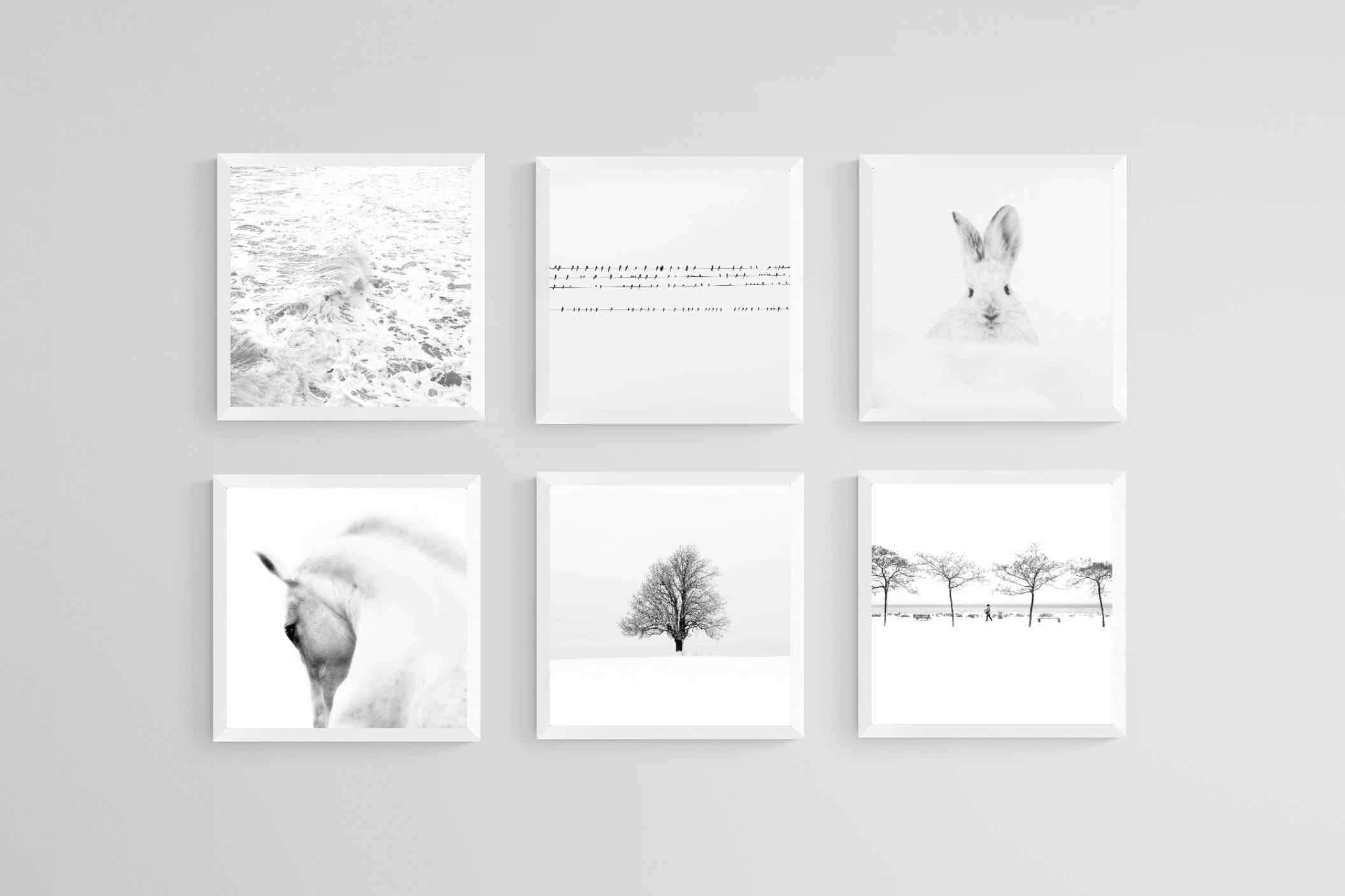 White Set-Wall_Art-30 x 30cm (x6)-Mounted Canvas-White-Pixalot